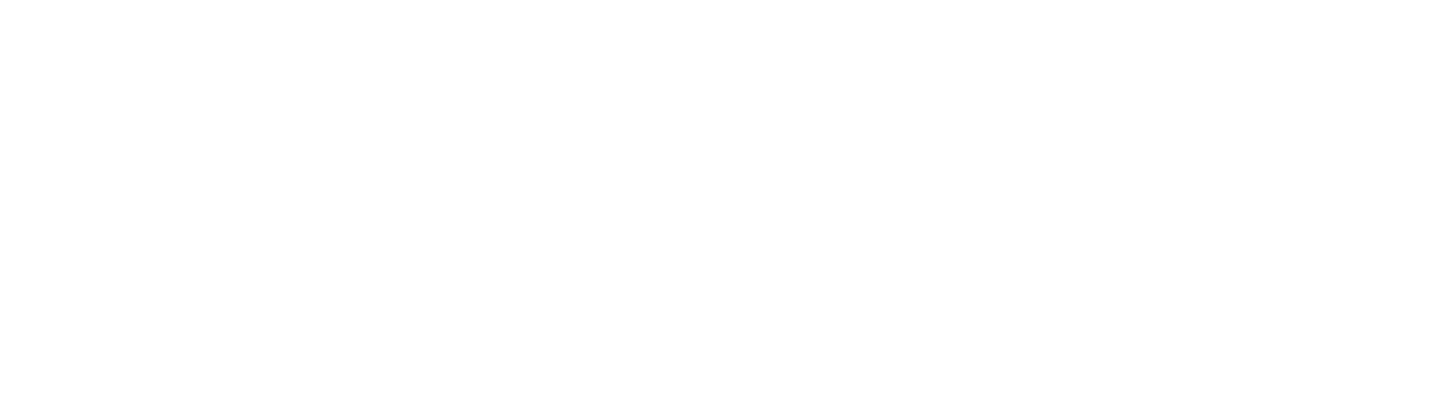PromX logo
